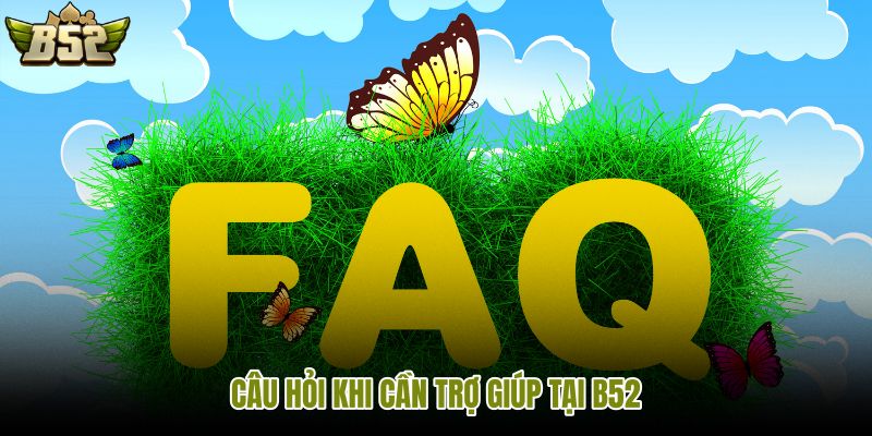 cau-hoi-khi-can-tro-giup-tai-b52