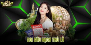Soi cầu bạch thủ lô